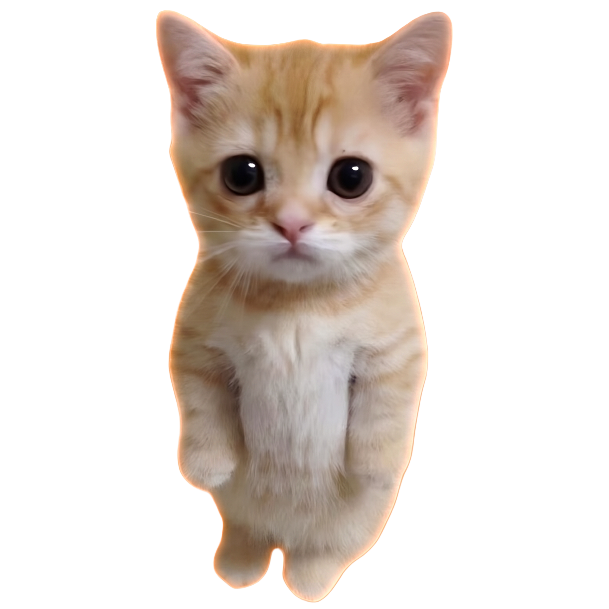 RUECAT cartoon cat mascot giving a thumbs up
